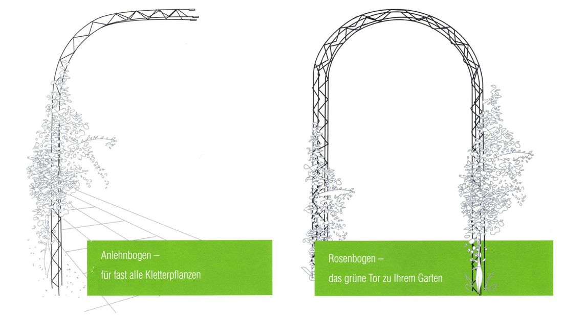 Ranksysteme
